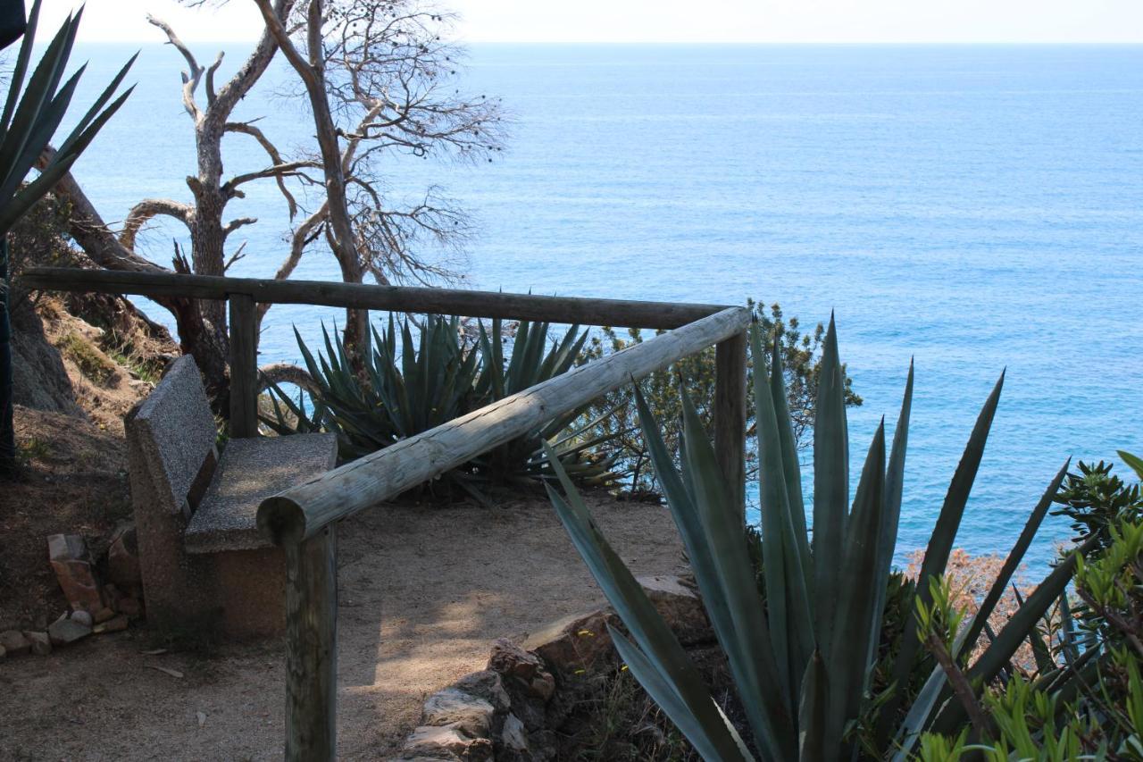 Apartamento A 100M De La Playa トッサ・デ・マール エクステリア 写真